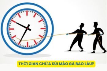 Thời gian chữa sùi mào gà bao lâu?
