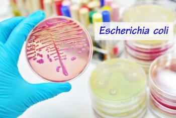 Cách điều trị bệnh lậu hiệu quả không phải ai cũng biết