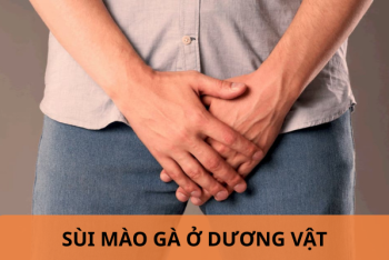 Chữa sùi mào gà ở dương vật bằng cách nào?