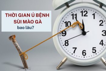 Thời gian ủ bệnh sùi mào gà là bao lâu? dấu hiệu nhận biết bệnh